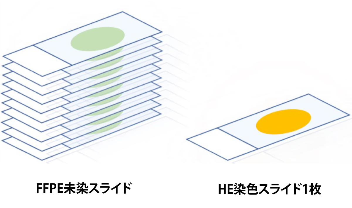 スライド作製