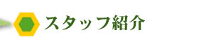 スタッフ紹介